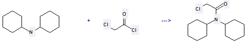 N,N-Dicyclohexylamine can be used to produce chloro-acetic acid dicyclohexylamide